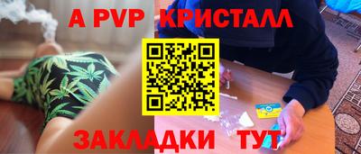 ешки Кингисепп