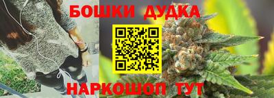 ешки Кингисепп