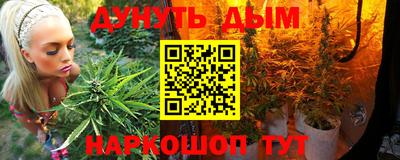 ешки Кингисепп