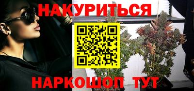 ешки Кингисепп