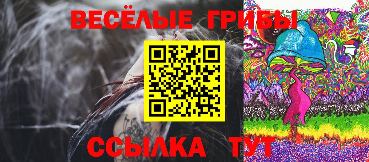 Балашов  Галлюциногенные грибы Psilocybe  Вход с VPN 